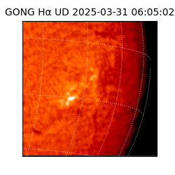 gong - 2025-03-31T06:05:02