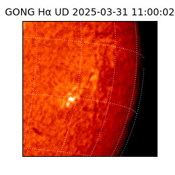 gong - 2025-03-31T11:00:02