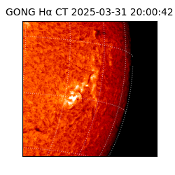 gong - 2025-03-31T20:00:42