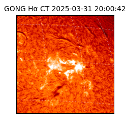 gong - 2025-03-31T20:00:42
