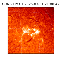 gong - 2025-03-31T21:00:42