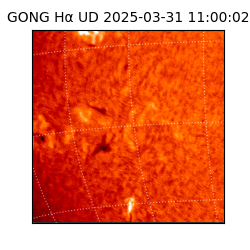 gong - 2025-03-31T11:00:02