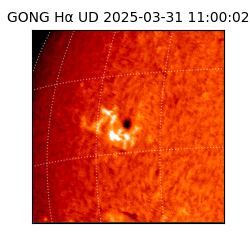 gong - 2025-03-31T11:00:02