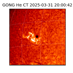 gong - 2025-03-31T20:00:42