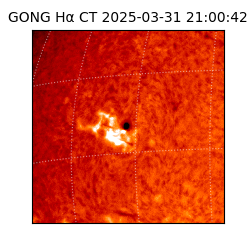 gong - 2025-03-31T21:00:42