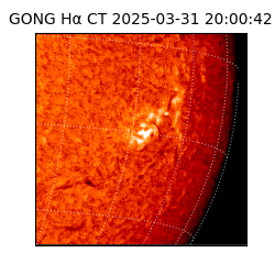 gong - 2025-03-31T20:00:42