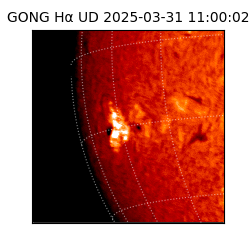 gong - 2025-03-31T11:00:02