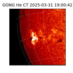 gong - 2025-03-31T19:00:42