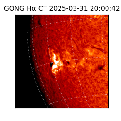 gong - 2025-03-31T20:00:42