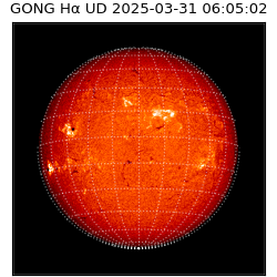 gong - 2025-03-31T06:05:02