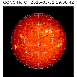 gong - 2025-03-31T19:00:42