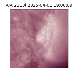 saia - 2025-04-01T19:00:09.630000