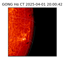 gong - 2025-04-01T20:00:42