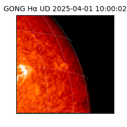 gong - 2025-04-01T10:00:02