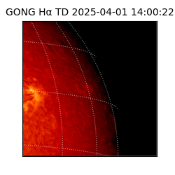 gong - 2025-04-01T14:00:22