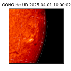 gong - 2025-04-01T10:00:02