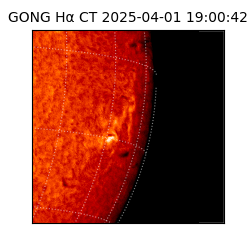 gong - 2025-04-01T19:00:42