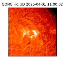 gong - 2025-04-01T11:00:02