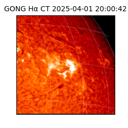 gong - 2025-04-01T20:00:42