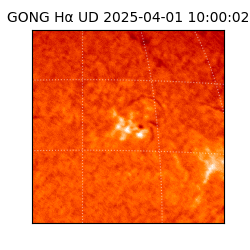 gong - 2025-04-01T10:00:02