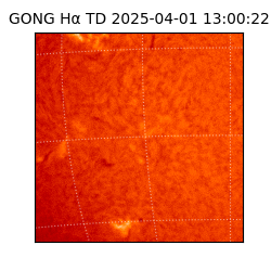 gong - 2025-04-01T13:00:22