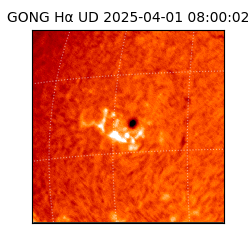 gong - 2025-04-01T08:00:02