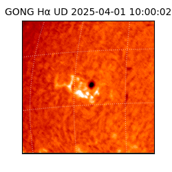 gong - 2025-04-01T10:00:02