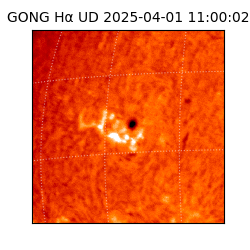 gong - 2025-04-01T11:00:02