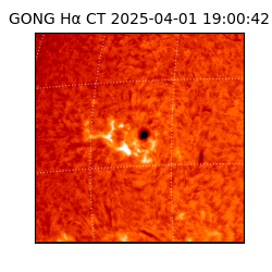 gong - 2025-04-01T19:00:42