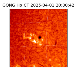 gong - 2025-04-01T20:00:42