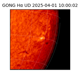 gong - 2025-04-01T10:00:02
