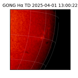 gong - 2025-04-01T13:00:22