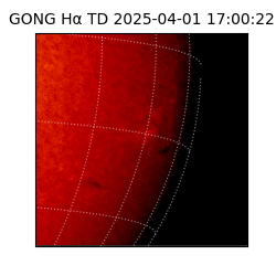 gong - 2025-04-01T17:00:22