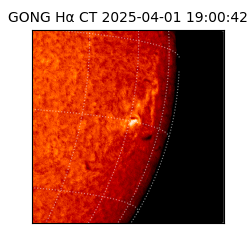 gong - 2025-04-01T19:00:42