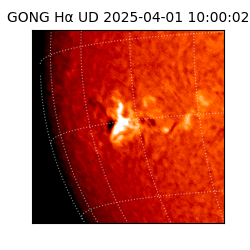 gong - 2025-04-01T10:00:02