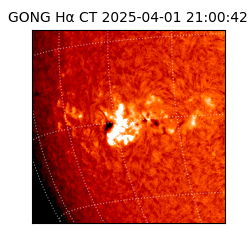 gong - 2025-04-01T21:00:42