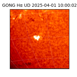gong - 2025-04-01T10:00:02