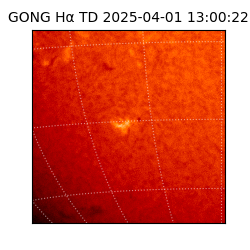 gong - 2025-04-01T13:00:22