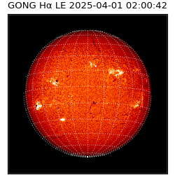 gong - 2025-04-01T02:00:42