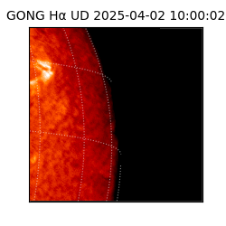 gong - 2025-04-02T10:00:02