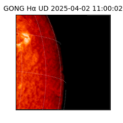 gong - 2025-04-02T11:00:02