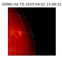 gong - 2025-04-02T15:00:22