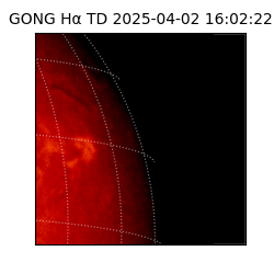 gong - 2025-04-02T16:02:22