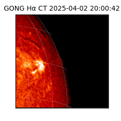 gong - 2025-04-02T20:00:42