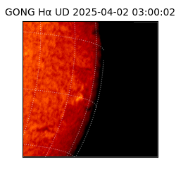 gong - 2025-04-02T03:00:02