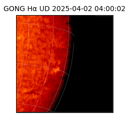gong - 2025-04-02T04:00:02