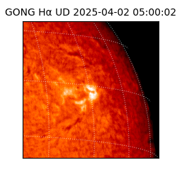 gong - 2025-04-02T05:00:02