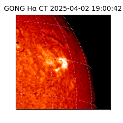 gong - 2025-04-02T19:00:42