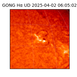 gong - 2025-04-02T06:05:02