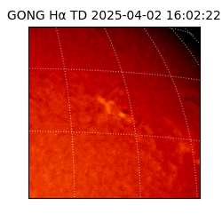gong - 2025-04-02T16:02:22